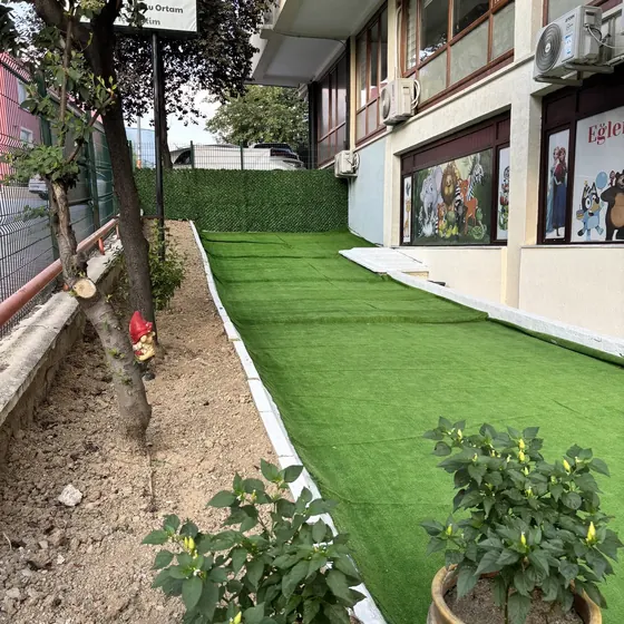 Yan bahçe ve saksılarımız